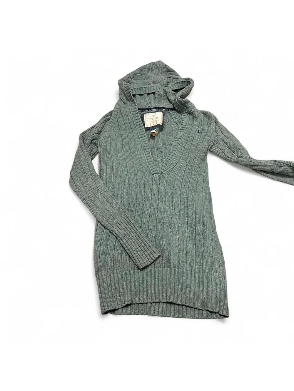 Y2K American Eagle hooded sweater